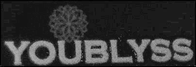 YOUBLYSS logo