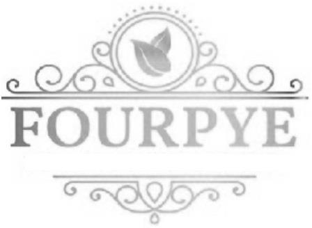 FOURPYE logo