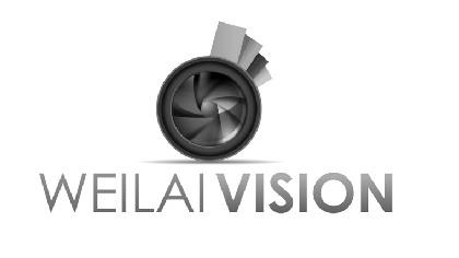 WEILAI VISION logo