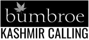 KASHMIR CALLING logo
