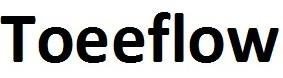 Toeeflow logo