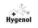 Hygenol logo