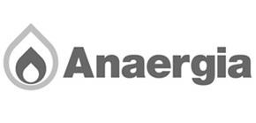 6) Anaergia logo