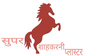 SUPER SHAHKARNI PLASTER logo