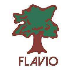 FLAVIO logo