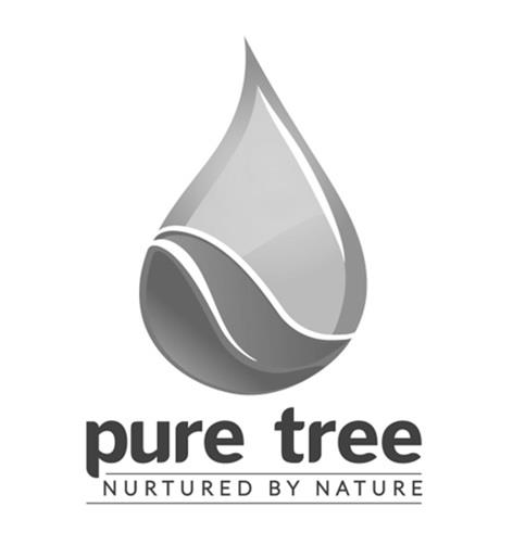 pure tree logo