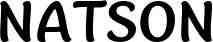 NATSON logo