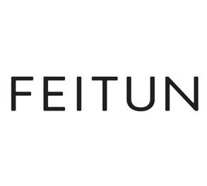 FEITUN logo