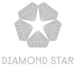 DIAMOND STAR logo
