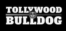 TOLLYWOOD BULLDOG logo