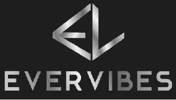 EVERVIBES logo