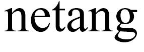 netang logo