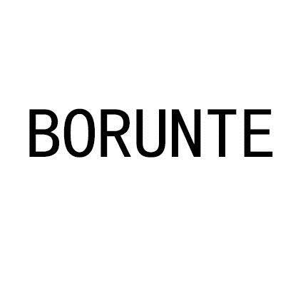 BORUNTE logo