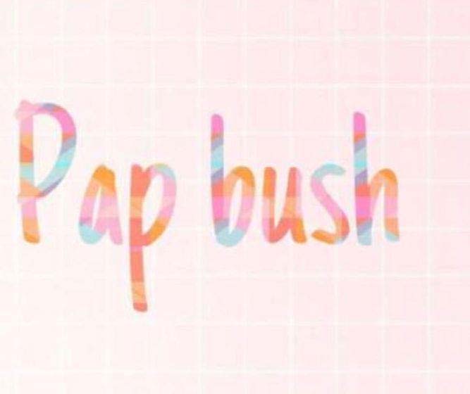 Pap bush logo