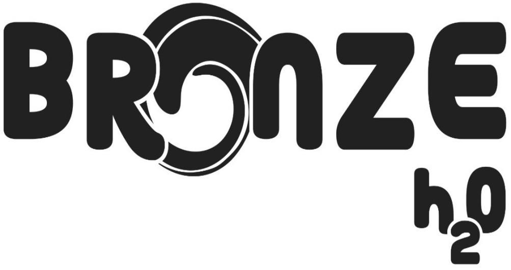 BRONZE logo
