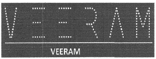 VEERAM logo