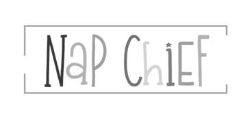 NaP logo