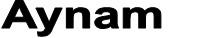 Aynam logo