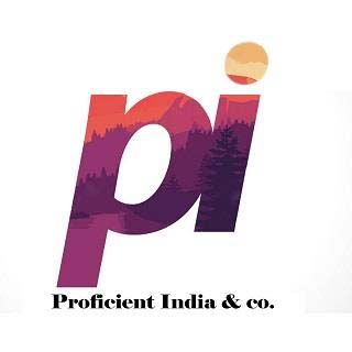 Proficient India & co. logo