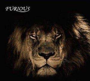 FURIOUS logo