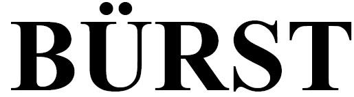 BURST logo
