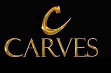 CARVES logo