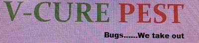 V-CURE PEST logo