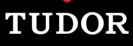 TUDOR logo