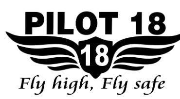 PILOT 18 Fly high’ Fly safe logo