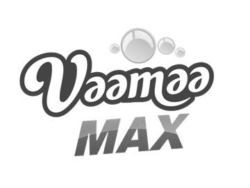 MAX logo