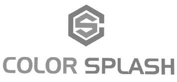 COLOR SPLASH logo