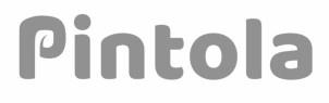 Pintola logo