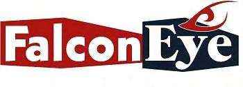 FalconEye logo