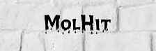 MotHir logo