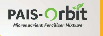 PAIS-Orbit | logo