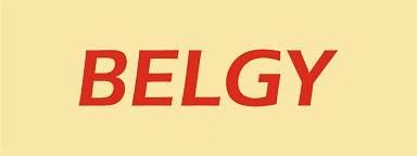 BELGY logo