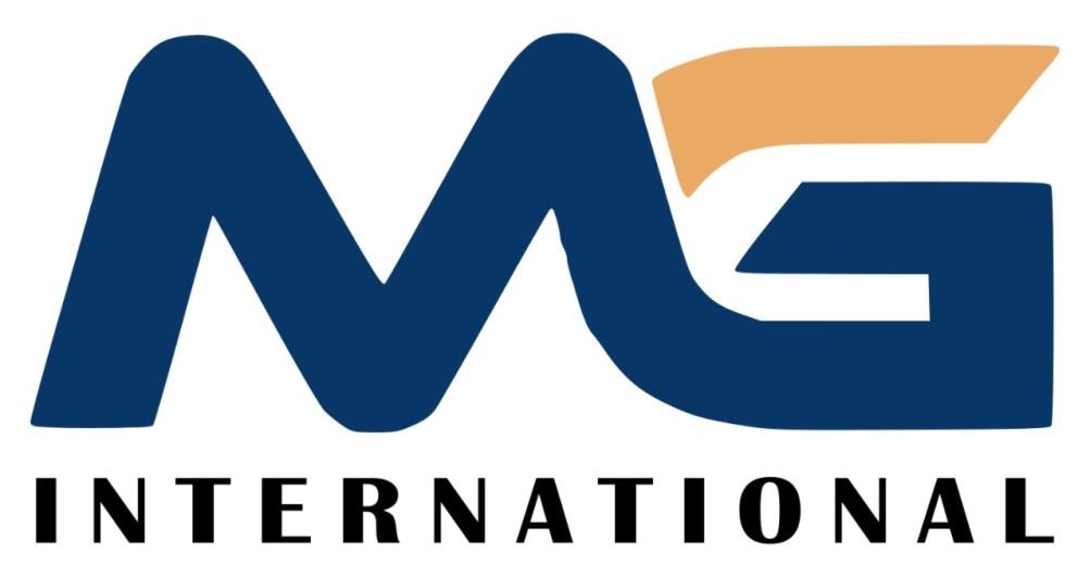 INTERNATIONAL logo