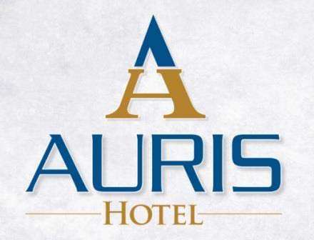 AURIS logo