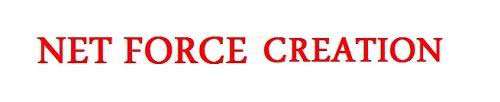NET FORCE CREATION logo