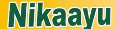 Nikaayu logo