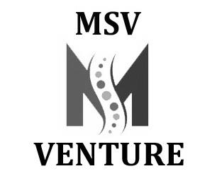 MSV VENTURE logo