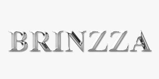 BRINZZA logo