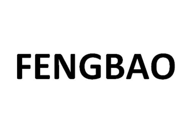 FENGBAO logo