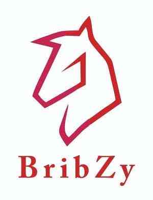 BribZy logo