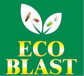 ECO BLAST logo