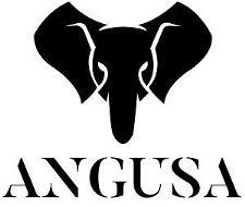 ANGUSA logo