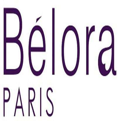 PARIS logo