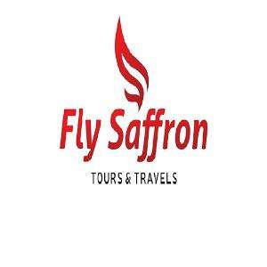 Fly logo