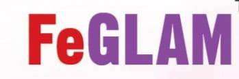 FeGLAM logo