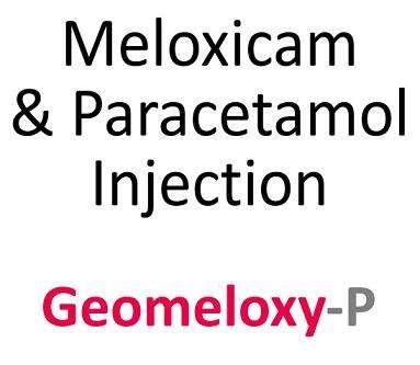 Meloxicam & Paracetamol Injection Geomeloxy-P logo